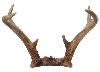 ¹