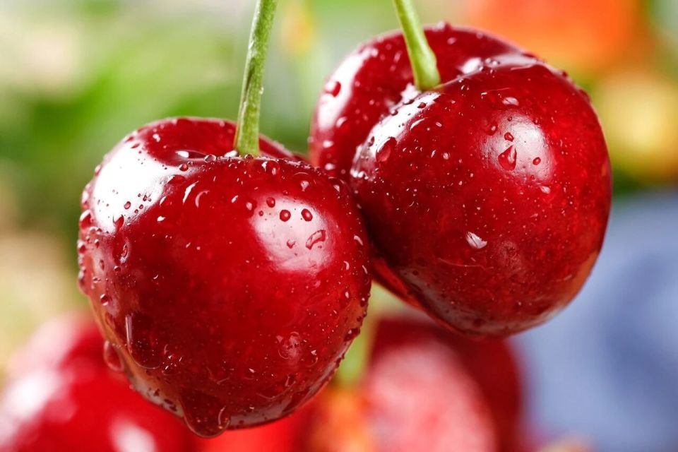 车厘子“双胞胎”畸形是农药所致？